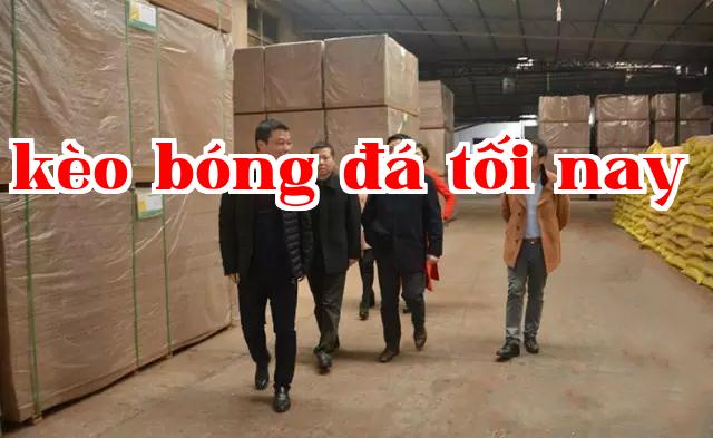 Phó Giám đốc Cục Bảo vệ Môi trường thành phố Gia An, ông Vương Dũng, đến thăm và hướng dẫn công việc tại công ty chúng tôi