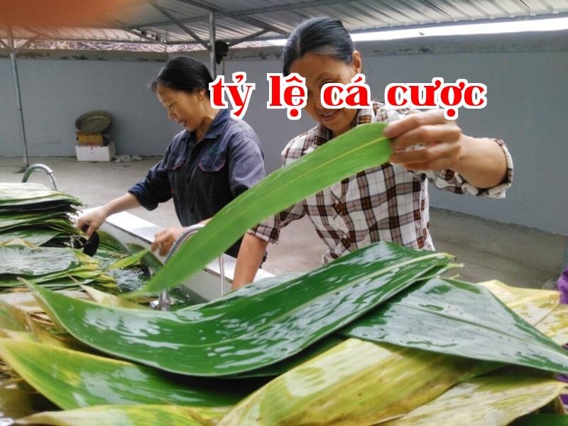 Nguồn đất lành Hương lá troc thơm tho Phúc lợi nhiều
