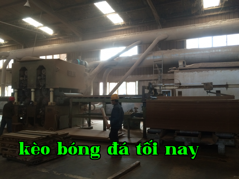 Khu vực sản xuất năm